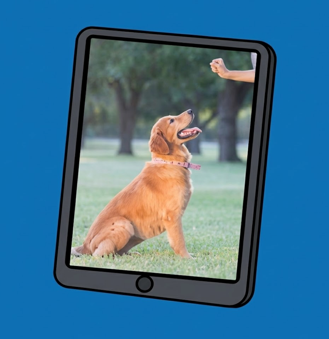 Free Course