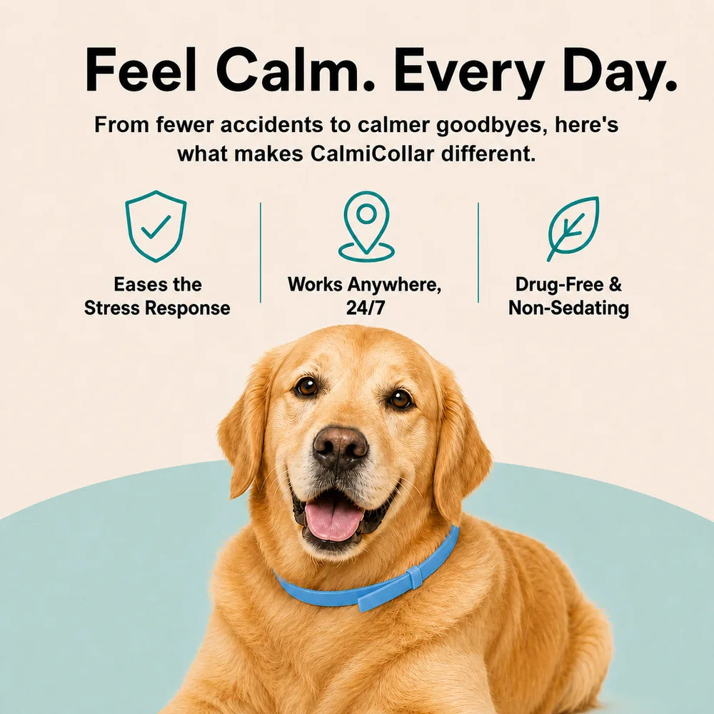CalmiCollar Dual-Pheromone Calming Collar - Drug-Free Anxiety Relief
