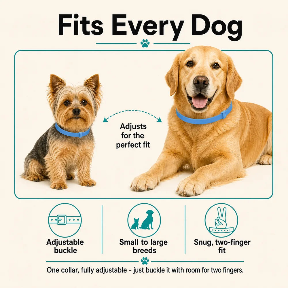 CalmiCollar Dual-Pheromone Calming Collar - Drug-Free Anxiety Relief
