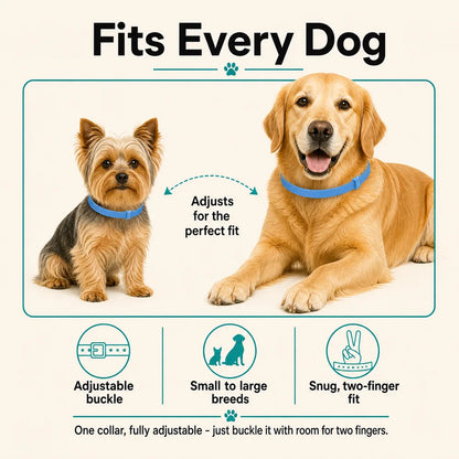 CalmiCollar Dual-Pheromone Calming Collar - Drug-Free Anxiety Relief